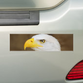 Autocollant De Voiture Haliaeetus américain Leucocephalus d'Eagle chauve (En voiture)