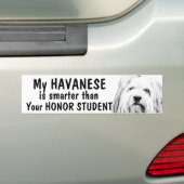 Autocollant De Voiture Havanese - plus futé que l'étudiant d'honneur - (En voiture)