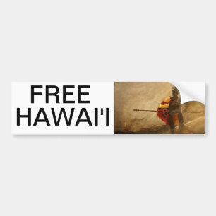 AUTOCOLLANT DE VOITURE HAWAÏ LIBRE