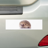 Autocollant De Voiture Hedgehog, (En voiture)