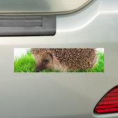 Autocollant De Voiture hedgehog (En voiture)