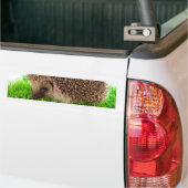Autocollant De Voiture hedgehog (Sur camion)
