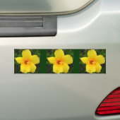 Autocollant De Voiture Hibiscus jaune (En voiture)