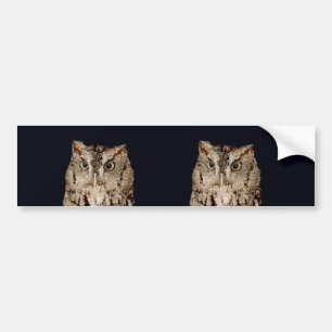 Autocollant De Voiture Hibou de cri strident