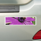 Autocollant De Voiture Honey Bee Sur Un Daisy Africain Violet (En voiture)