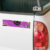 Autocollant De Voiture Honey Bee Sur Un Daisy Africain Violet (Sur camion)