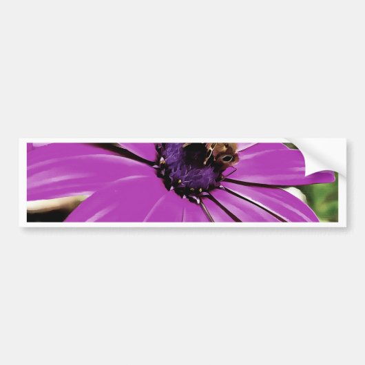 Autocollant De Voiture Honey Bee Sur Un Daisy Africain Violet (Devant)