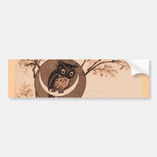 Autocollant De Voiture Hooooot ! (Devant)