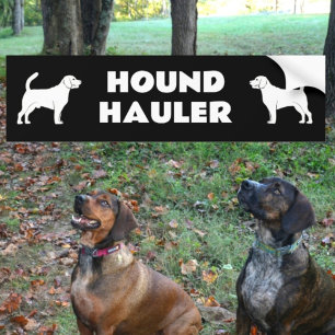 Autocollant De Voiture Hound Hauler Homme et Femme Chien Silhouettes Noir