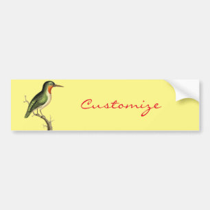Autocollant De Voiture Hummingbird Perched Thunder_Cove