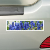 Autocollant De Voiture Hyacinthe de raisin (En voiture)