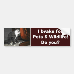 Autocollant De Voiture "I BRAKE FOR ANIMAL" Sticker Cat Kitten