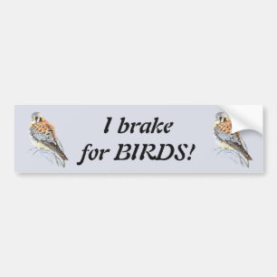 Autocollant De Voiture I brake for Birds - Birding Kestrel Watercolor
