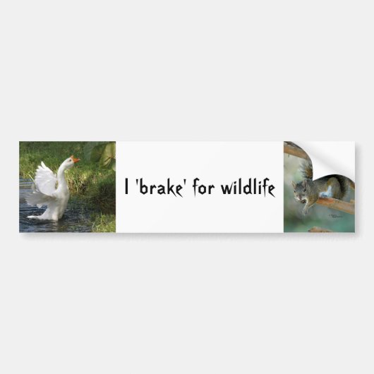 Autocollant De Voiture I brake for wildlife Goose Squerrl Bumper Sticker (Devant)