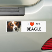 Autocollant De Voiture I coeur MON BEAGLE (En voiture)
