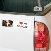 Autocollant De Voiture I coeur MON BEAGLE (Sur camion)