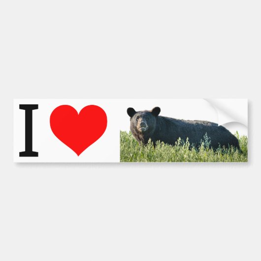 Autocollant De Voiture I Love Bruno Bumper Sticker (Devant)