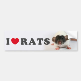 Autocollant De Voiture I love (cute) Rats