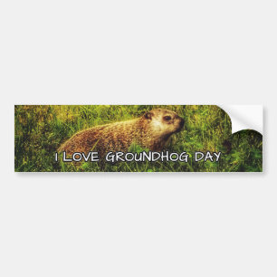 Autocollant De Voiture I love Groundhog Day bumper sticker