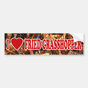 Autocollant De Voiture I Love (Heart) Fried Grasshopper