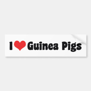 Autocollant De Voiture I Love Heart Guinée Pigs