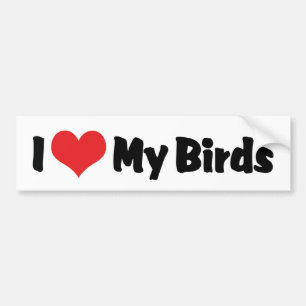 Autocollant De Voiture I Love Heart My Birds - Oiseau Amoureux