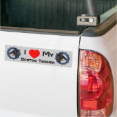 Autocollant De Voiture I Love Heart My Boston Terrier (Sur camion)