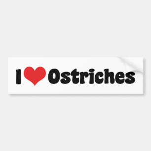 Autocollant De Voiture I Love Heart Ostriches - Ostrich Lover