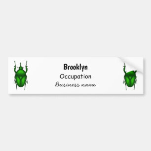 Autocollant De Voiture Illustration de bug Mecynorhina torquata