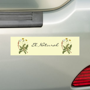 Autocollant De Voiture Illustration de pissenlit vintage
