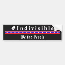 INDIVISIBLE - Nous Le Peuple Sticker