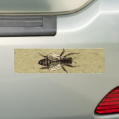 Autocollant De Voiture Insecte de la faune de l'abeille Queen (En voiture)