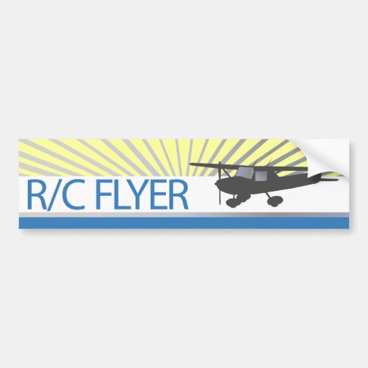 Autocollant De Voiture Insecte de R/C (Devant)