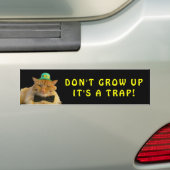 Autocollant De Voiture Irish Cat dit ne pas augmenter l'autocollant pare- (En voiture)