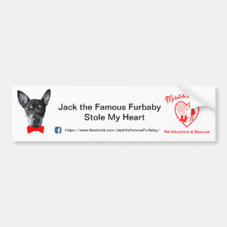 Autocollant De Voiture Jack le Furbaby célèbre Bumpersticker