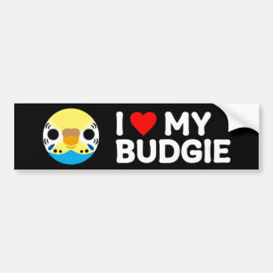 Autocollant De Voiture J'ADORE MON BUDGIE – femelle arc-en-ciel pastel