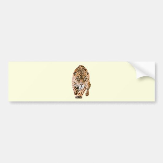 Autocollant De Voiture Jaguar Eyes (Devant)