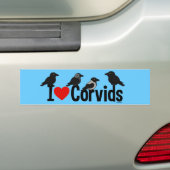 Autocollant De Voiture J'aime Corvids (En voiture)