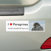 Autocollant De Voiture J'aime des Peregrines Pittsburgh (En voiture)