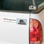 Autocollant De Voiture J'aime des Peregrines Pittsburgh (Sur camion)