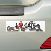 Autocollant De Voiture J'aime les chats (En voiture)