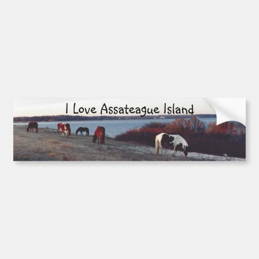 Autocollant De Voiture J'aime l'île d'Assateague - adhésif pour (Devant)