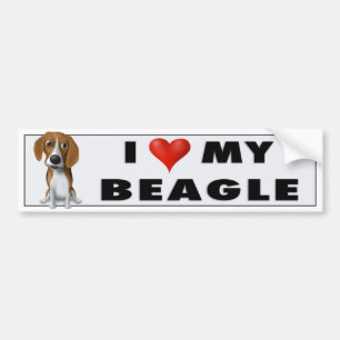 Autocollant De Voiture J'aime mon beagle BEA1