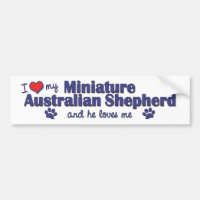J'aime mon berger australien miniature (le chien