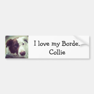 Autocollant De Voiture J'aime mon border collie