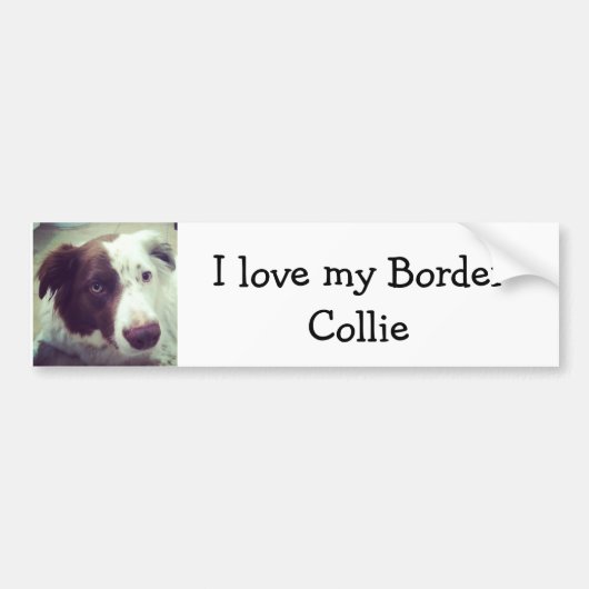 Autocollant De Voiture J'aime mon border collie (Devant)