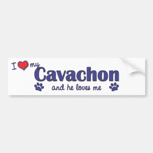 Autocollant De Voiture J'aime mon Cavachon (le chien masculin) (Devant)