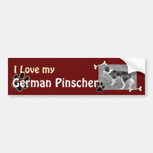 Autocollant De Voiture J'aime mon chevalet pare-chocs allemand Pinscher