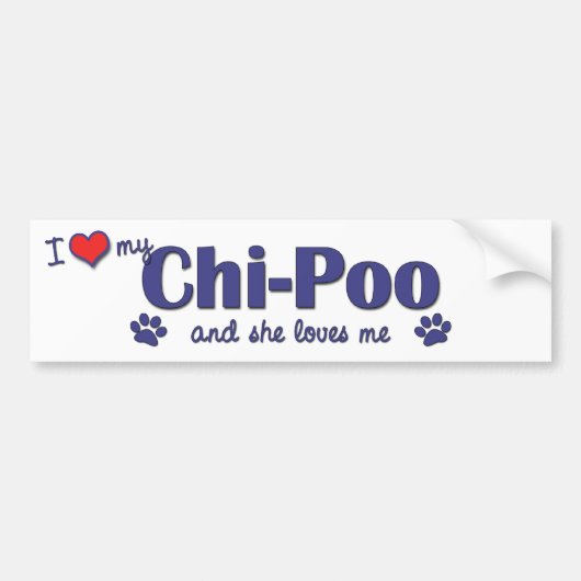 Autocollant De Voiture J'aime mon chi-Poo (le chien femelle) (Devant)