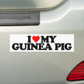 AUTOCOLLANT DE VOITURE J'AIME MON COBAYE (En voiture)